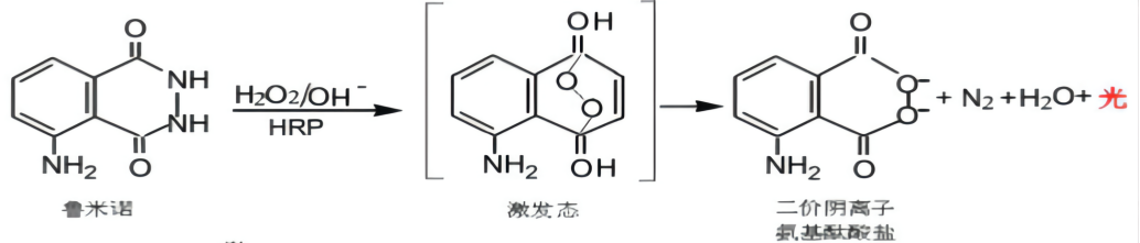 魯米諾發光原理 魯米諾發光原理