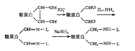 過碘酸鹽氧化結(jié)合法