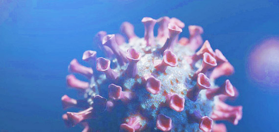 HBP高親和兔單抗,助力IVD備戰COVID-19重癥高峰