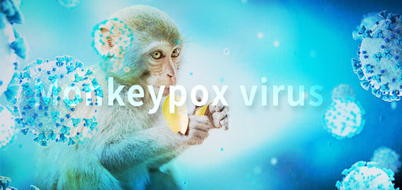 SingleB猴痘項目大顯身手,近100株抗體火速上新!