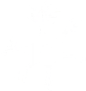 神經(jīng)類 神經(jīng)類