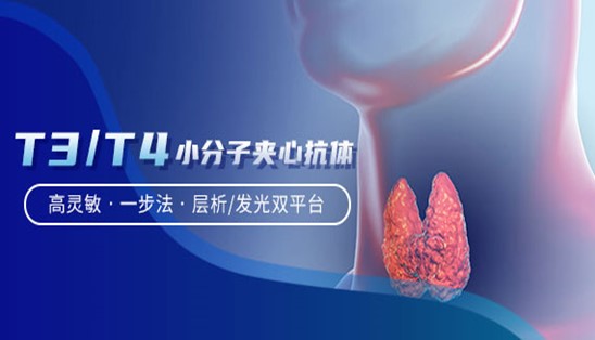 【小分子夾心法】甲功T3/T4,高靈敏&一步法