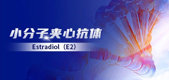 【小分子夾心】雌二醇(E2)夾心抗體在發光及層析平臺的應用