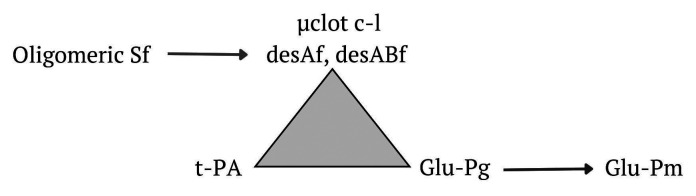 FXIIIa聚合纖維蛋白非交聯和交聯纖維蛋白凝塊的形成及降解